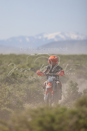 IMG_8213-65z