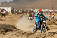 IMG_7932-528y