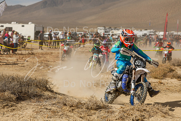 IMG_7932-528y