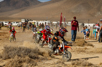 IMG_7578-501z