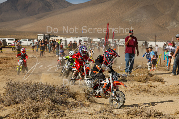 IMG_7578-501z