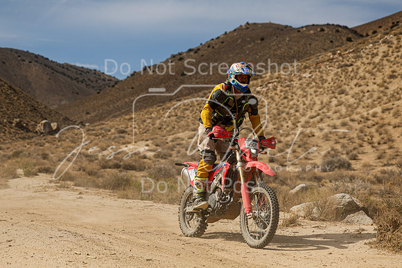 IMG_7299-650p
