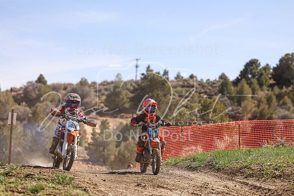 IMG_2296-54-49
