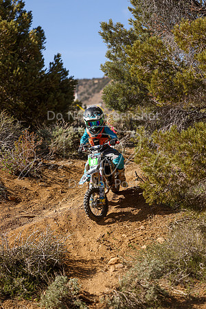 IMG_2264-10