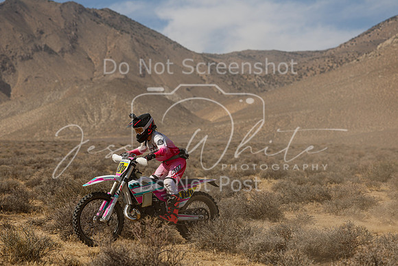 IMG_8417-18v
