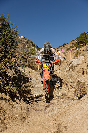 IMG_6389-150p