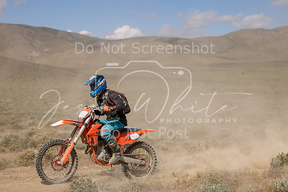 IMG_0062-731x
