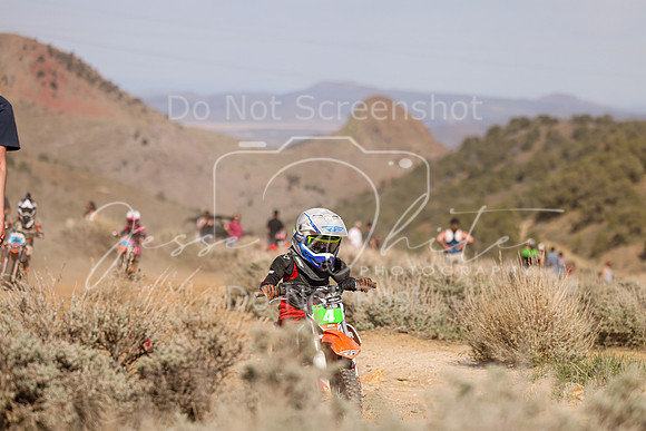 IMG_2428-4