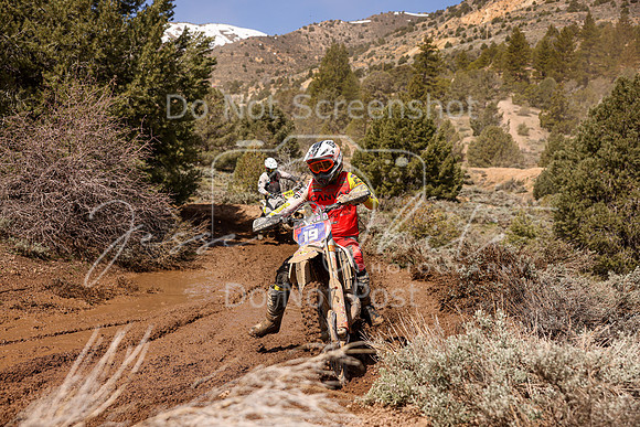 IMG_8994-19