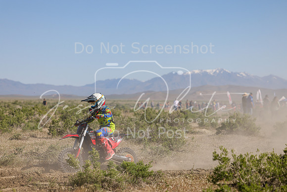 IMG_7865-313y