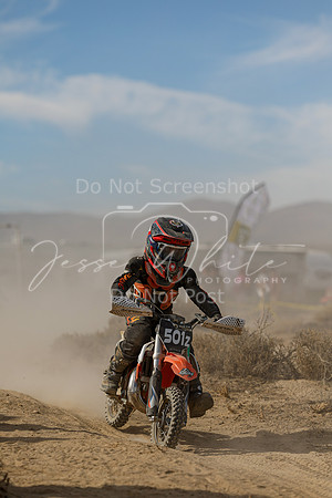 IMG_7816-501z