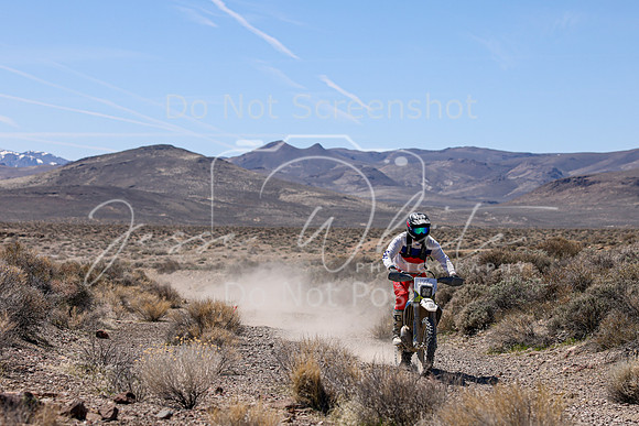 IMG_1593-177n