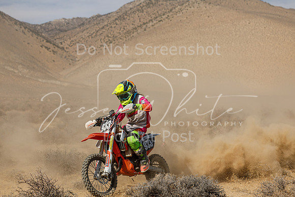 IMG_8481-933j