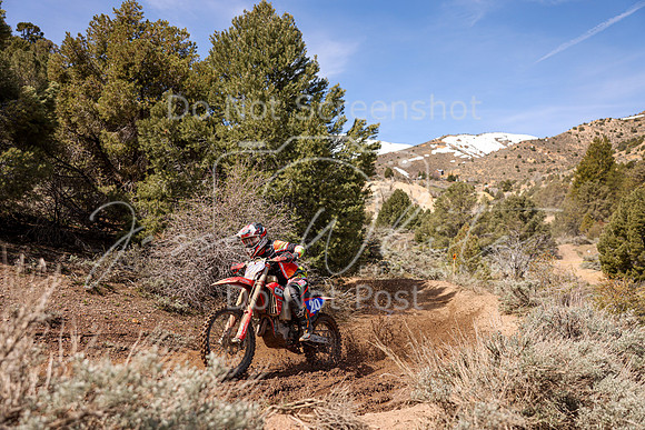 IMG_8488-20