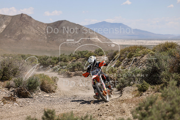 IMG_9219-972v