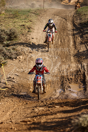 IMG_2811-7