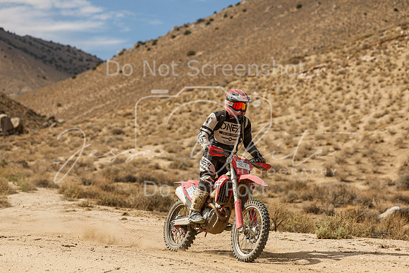 IMG_7451-92t