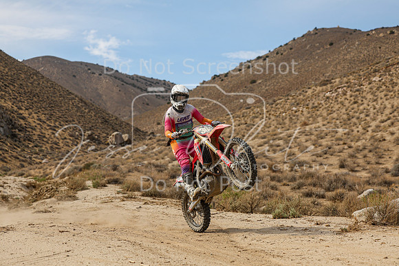 IMG_7383-304