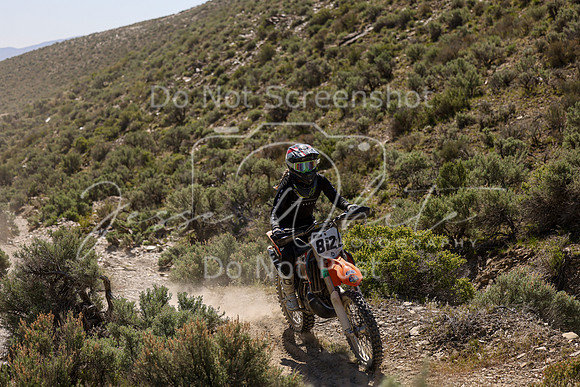 IMG_8476-812v