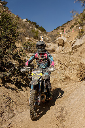 IMG_6534-85n