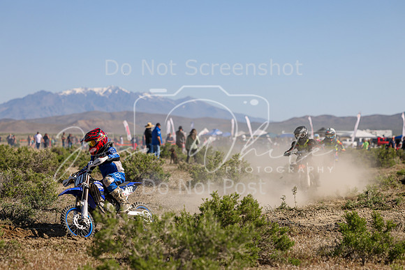 IMG_7861-411y