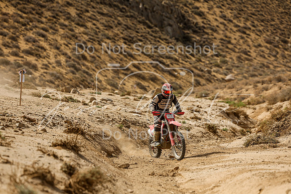 IMG_7448-92t