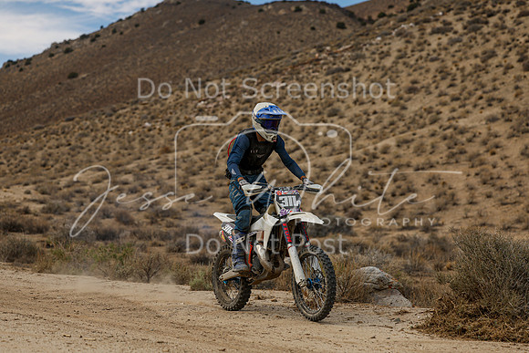 IMG_7487-311a