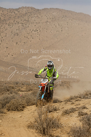 IMG_8706-350v