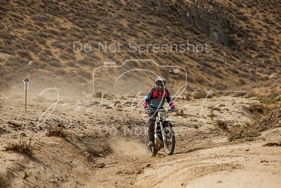 IMG_7390-85n