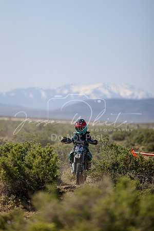 IMG_8280-41