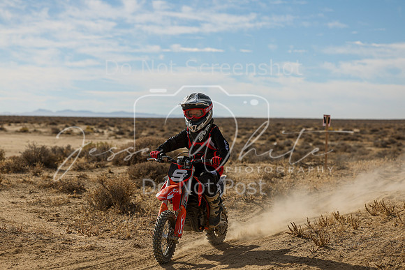 IMG_7698-9z