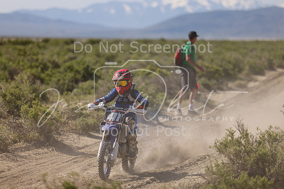 IMG_8026-411y