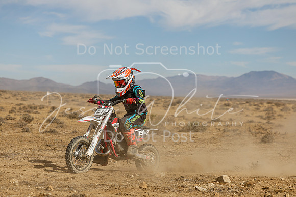 IMG_8160-131e
