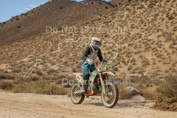 IMG_7404-102w