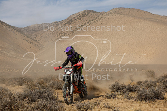 IMG_8328-25j