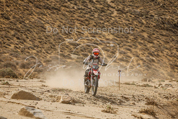 IMG_7432-51t