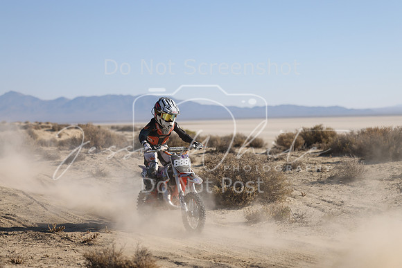 IMG_6536-888y
