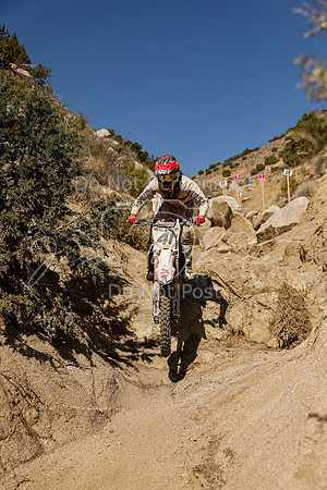 IMG_6489-41n