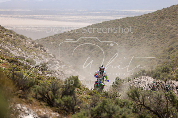 IMG_8481-87j
