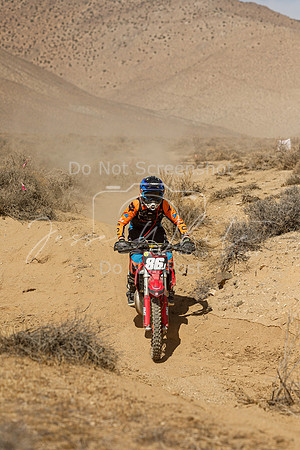 IMG_8856-86j