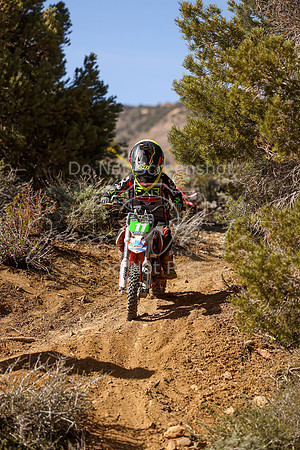 IMG_2273-11