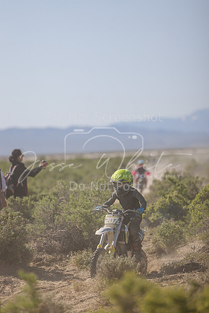 IMG_8320-207z