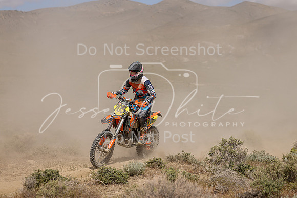 IMG_9976-705n