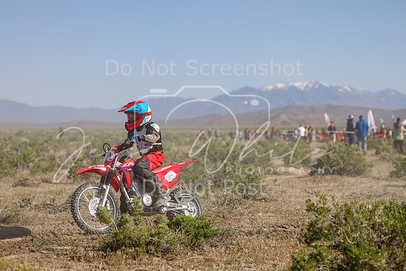 IMG_7876-21y