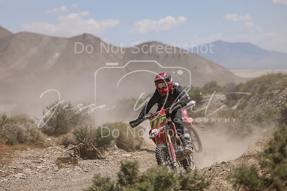 IMG_9304-775v