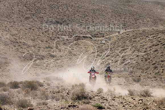 IMG_0839-310x-426m