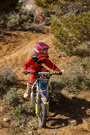 IMG_2268-50