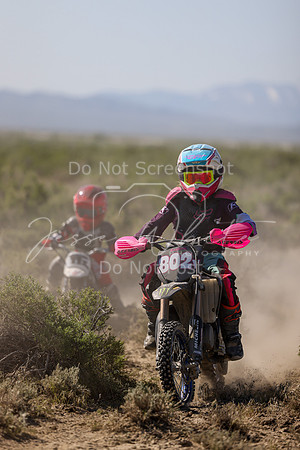 IMG_8223-802y