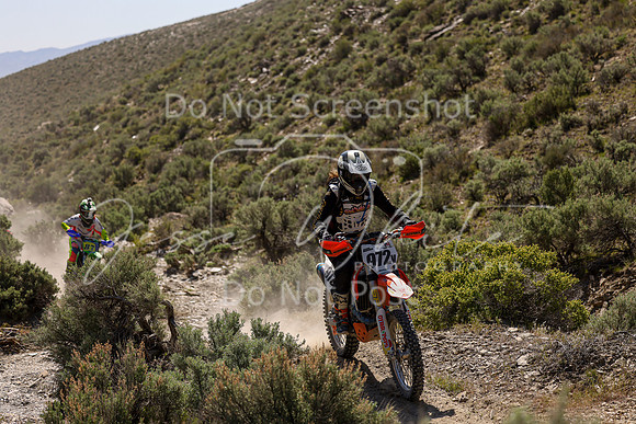 IMG_8483-972v