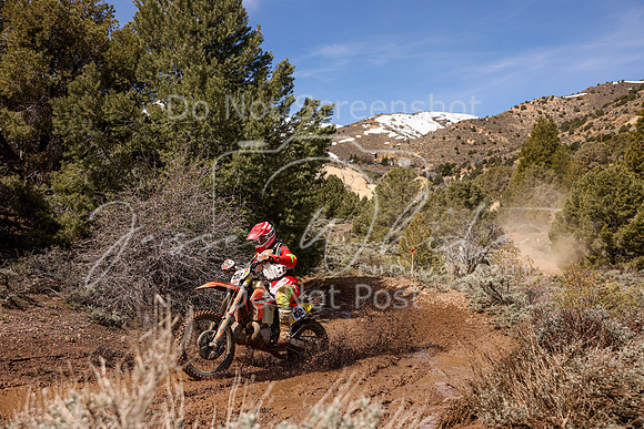 IMG_8732-102